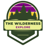 The Wilderness Explore Logo