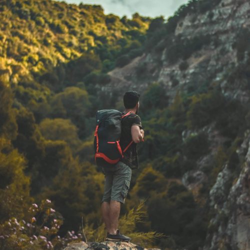 pexels-mohamedelaminemsiouri-2055556